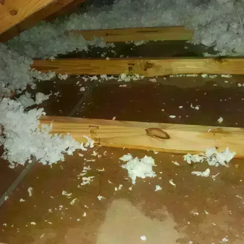 Attic Water Damage in Pinckney, MI