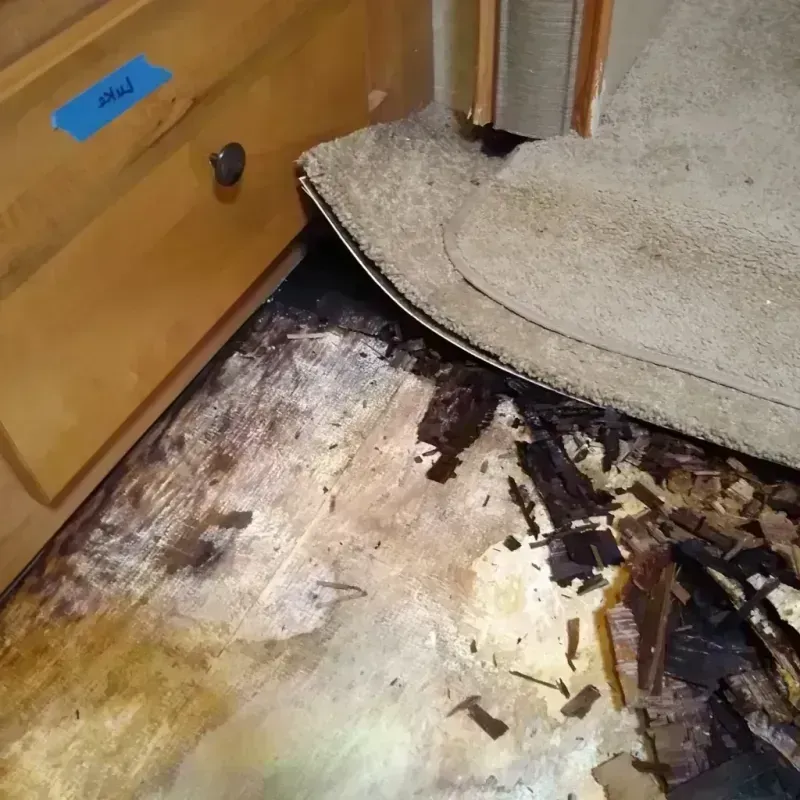 Best Wood Floor Water Damage Service in Pinckney, MI